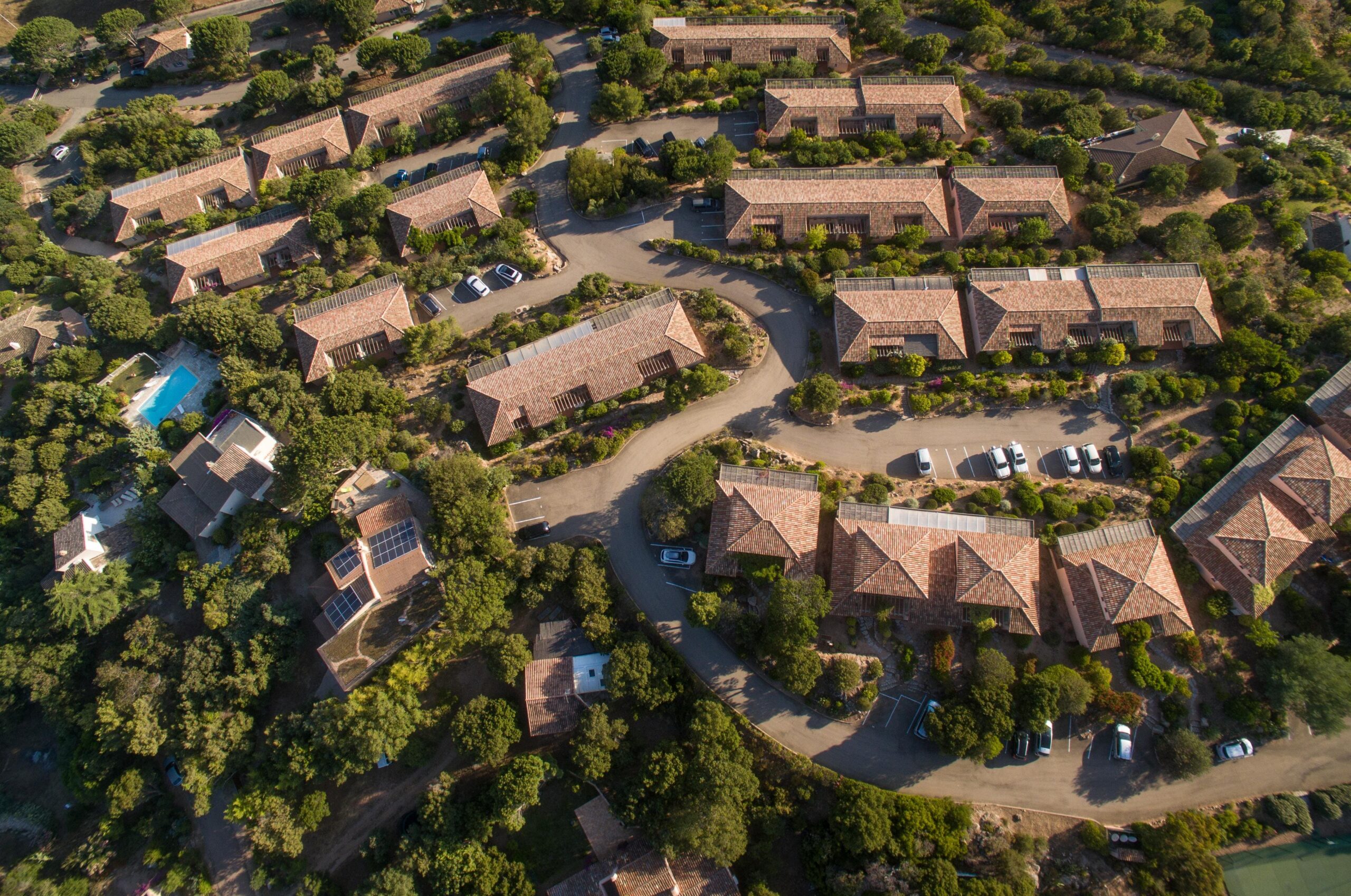 The Edge Effect: Wildlife Corridor Disruption Analysis