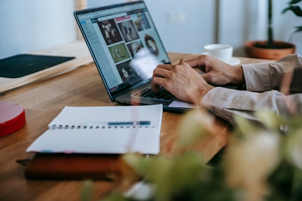 eCommerce Platforms and Small Retailers