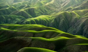 Article image: Corporate Greenwashing in Last 10 Years: The ESG Ratings Fraud