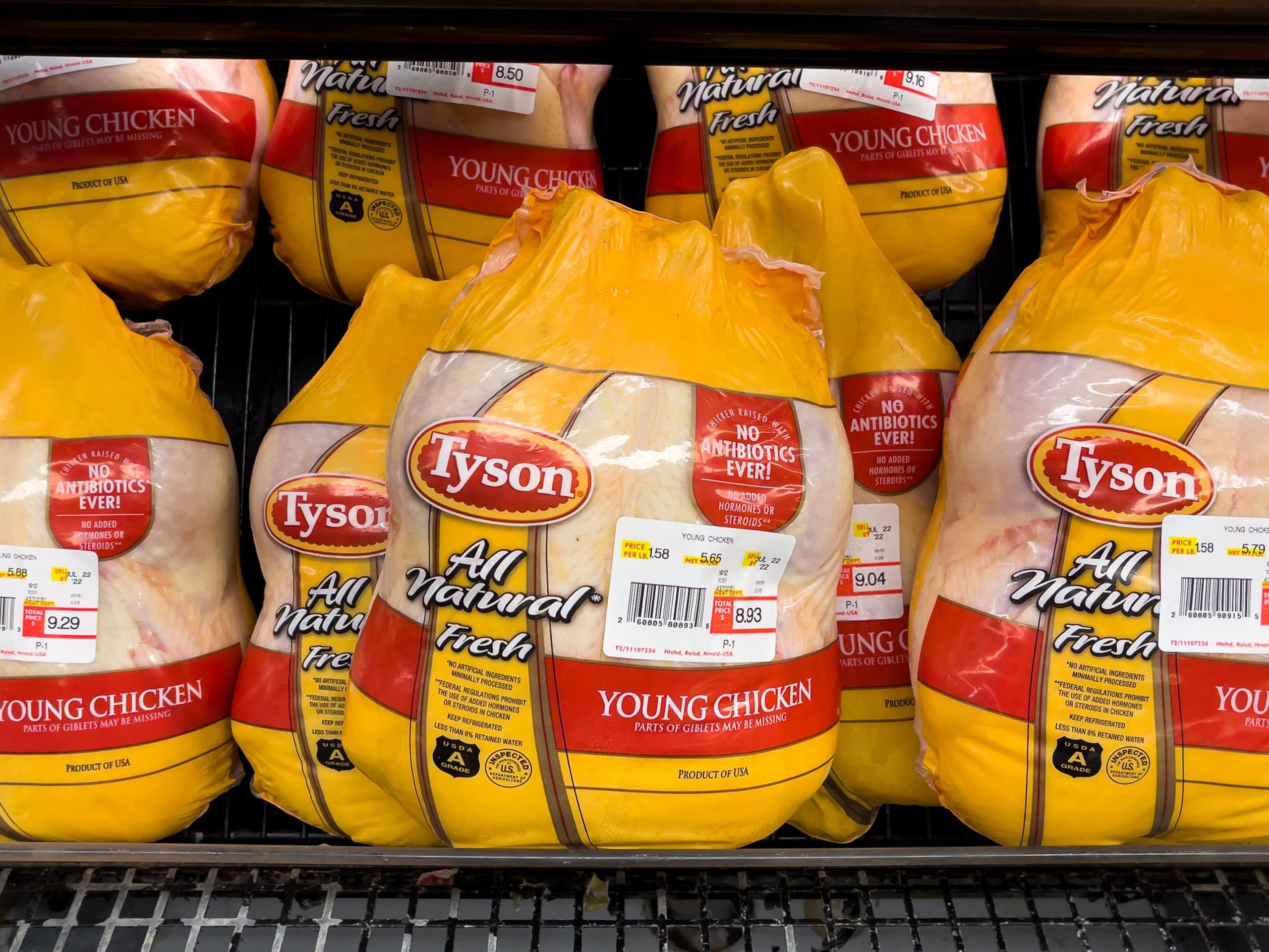 Protein Economics: Tracking the Surge in Staple Food Costs