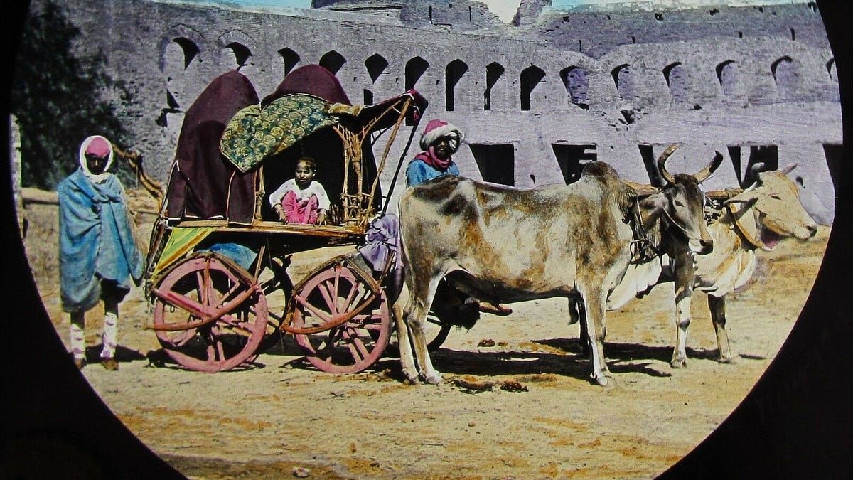 Raisina Hill Land Acquisition and Villager Displacement (1911, 1912)